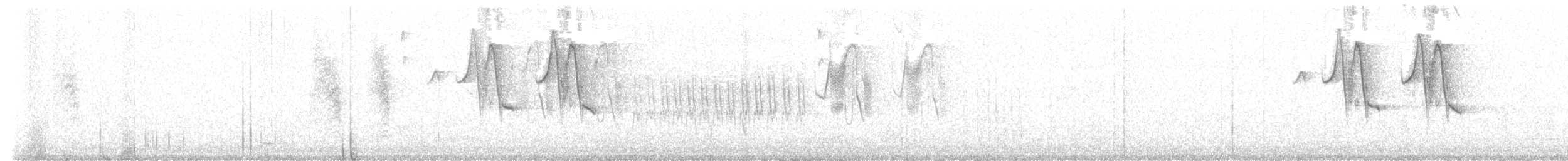 Band-tailed Sierra Finch - ML519677641
