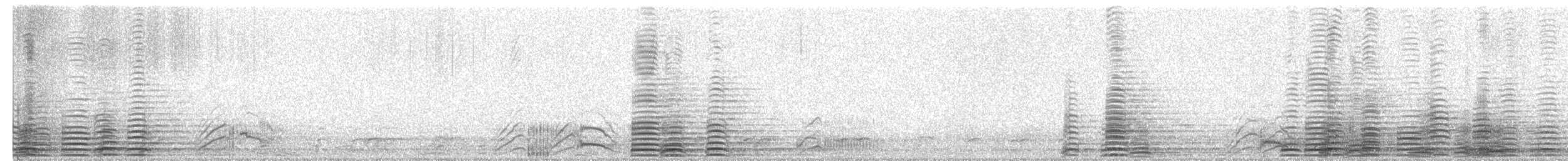 knoppsvane - ML519697191