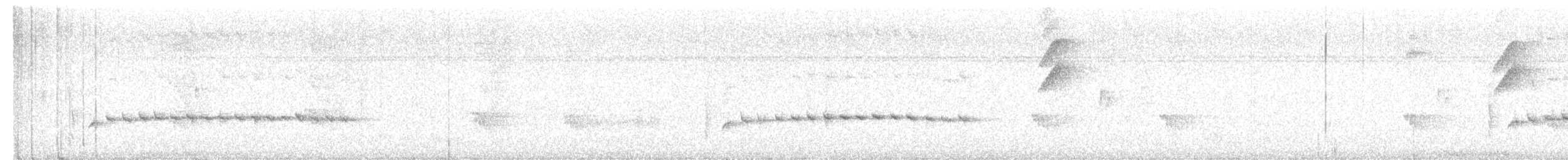 Long-billed Gnatwren - ML519704151