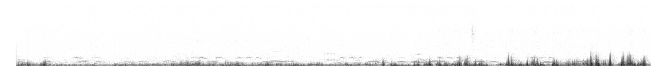 dvergsvane (columbianus) - ML519708611
