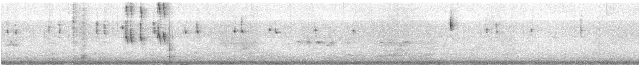 Gray-flanked Cinclodes - ML519710221