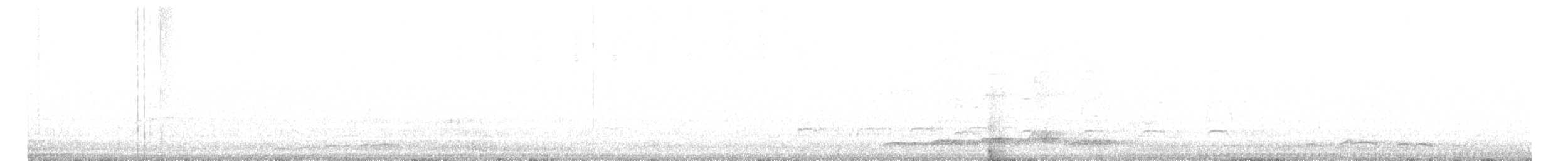 Тихоокеанский коэль - ML519714721