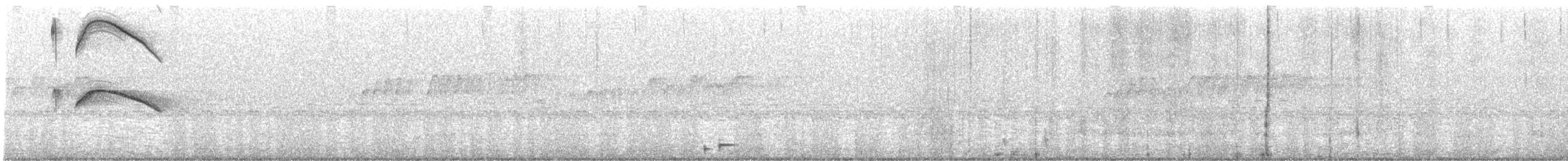 White-tailed Nightjar - ML519717401
