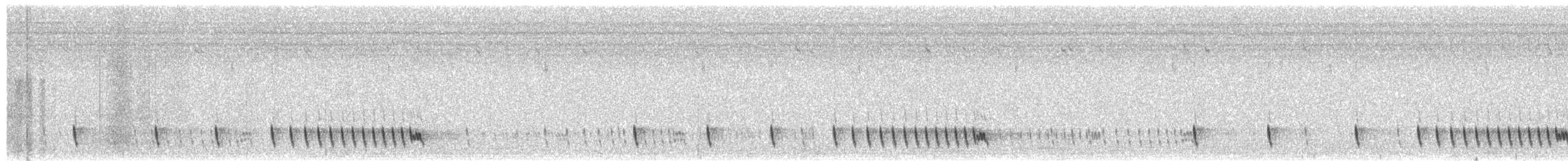 Indiennachtschwalbe - ML51972801
