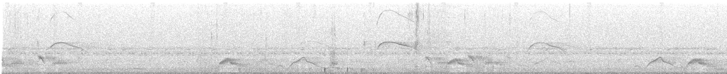 White-tailed Nightjar - ML519733011
