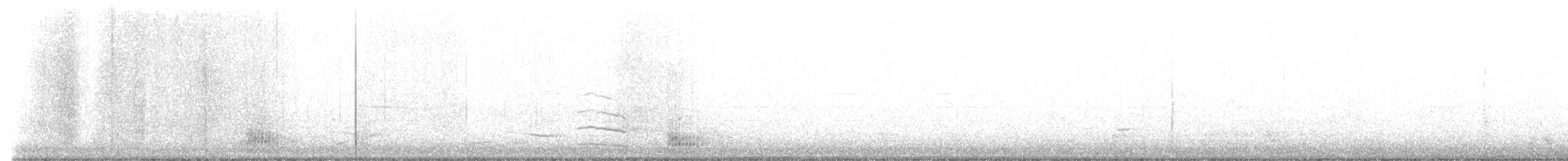斑背潛鴨 - ML519736851