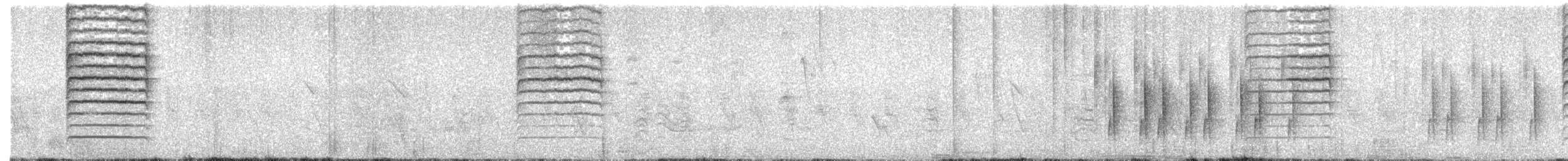 Camaroptère à tête grise (groupe brevicaudata) - ML519855771