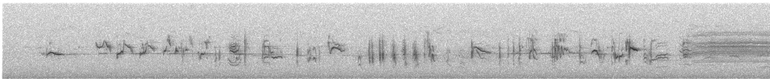 Eurasian Siskin - ML51992321