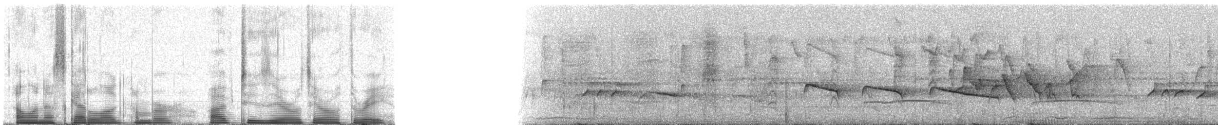 ロンドニアオニキバシリ（fuscicapillus） - ML52003
