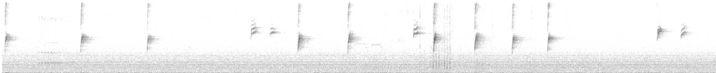Bruant à couronne blanche (gambelii) - ML520041481