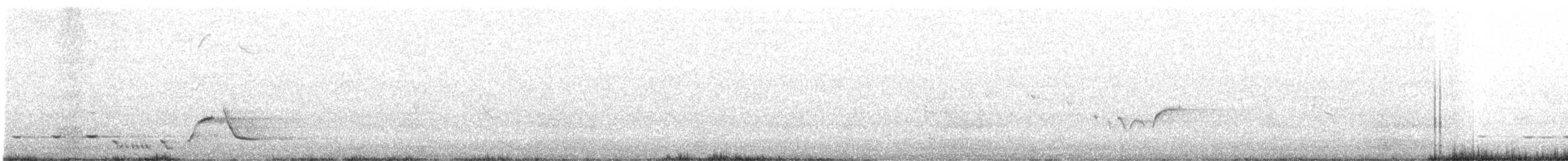 Ядлівчак сірий - ML520051111
