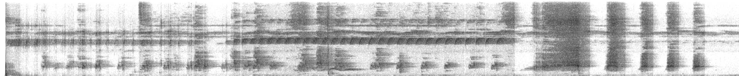 Лінивка-строкатка маскова - ML520081671