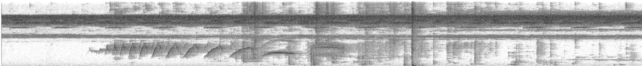 Мурав’янка чорнохвоста - ML520085081