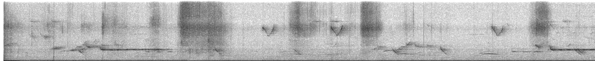 Rufous-fronted Babbler (Buff-chested) - ML520100201