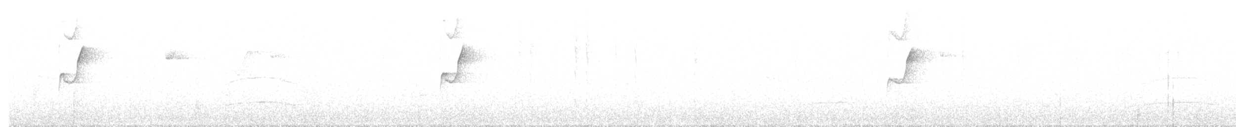 Гутурама сонорська - ML520144491