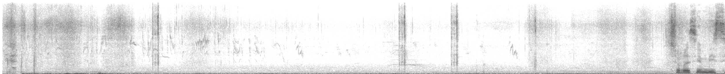 Grass Wren (Austral) - ML520146741