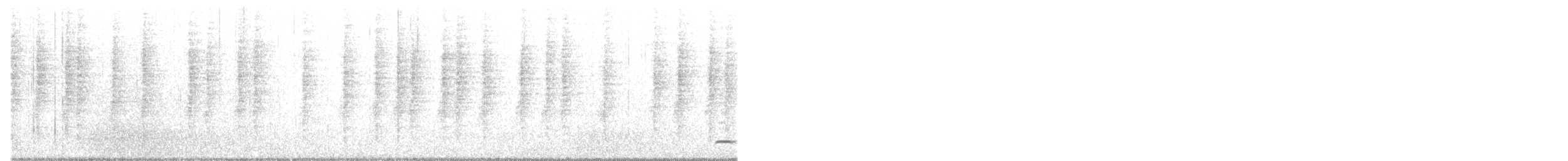 Поплітник синалойський - ML520147371
