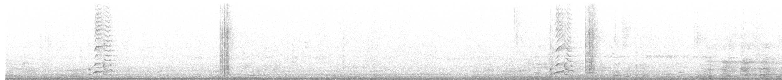 Sinaloakrähe - ML520148301