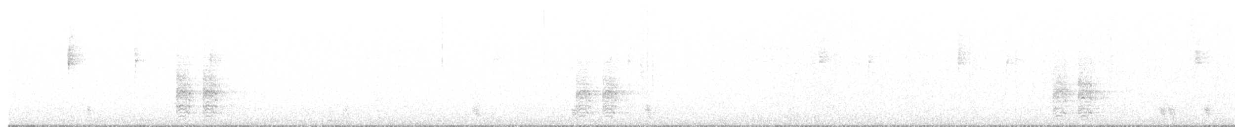 Траурная сойка - ML520149711