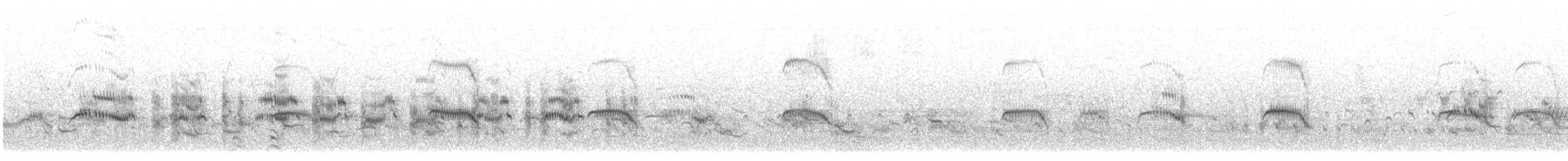Arctic Tern - ML520168631
