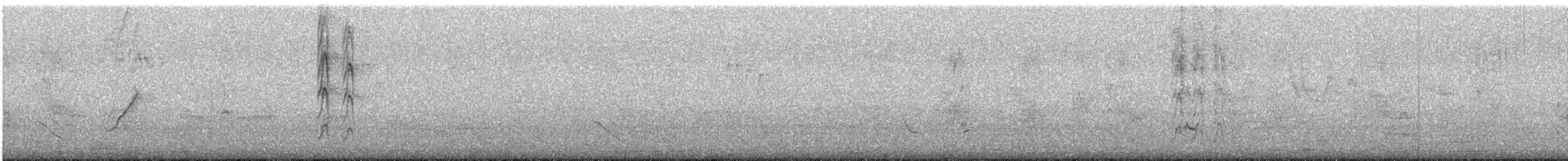 drozd černohrdlý - ML520218541
