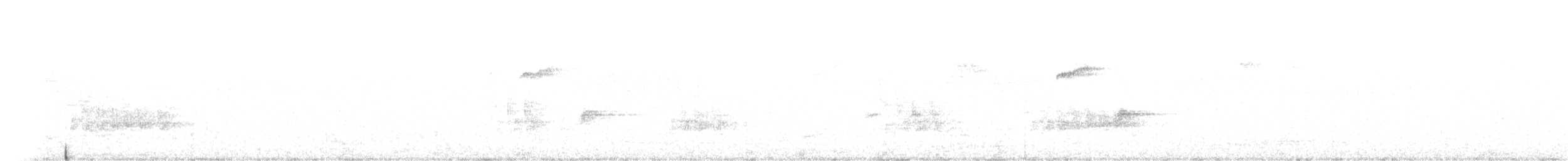 Алаг тоншуул - ML520253001