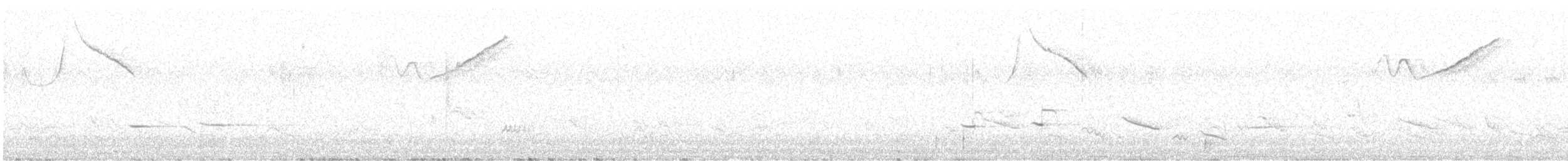 Gri Kanatlı İnka İspinozu - ML520261441