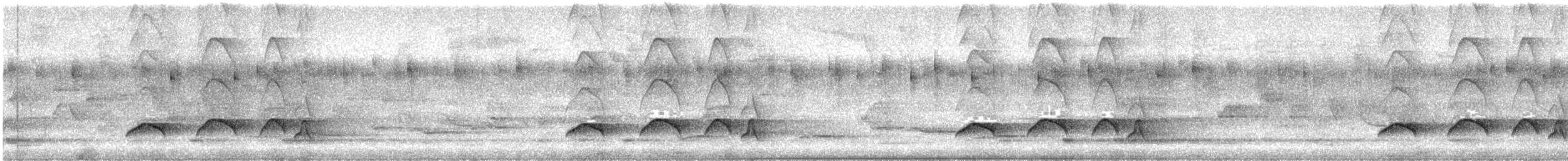 Graukopf-Attilatyrann - ML520297831