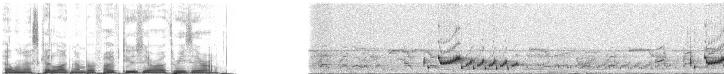 Zwergnachtschwalbe - ML52030