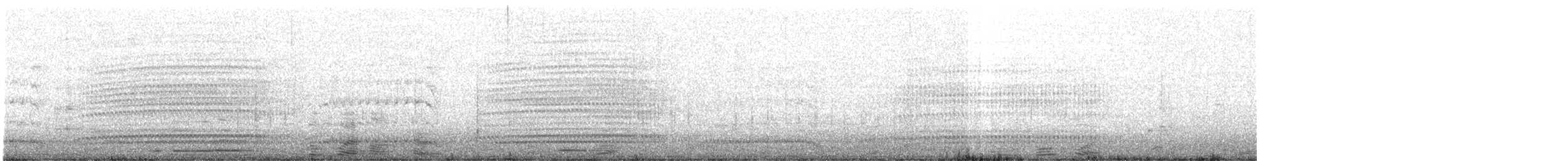 tučňák nejmenší - ML520321151