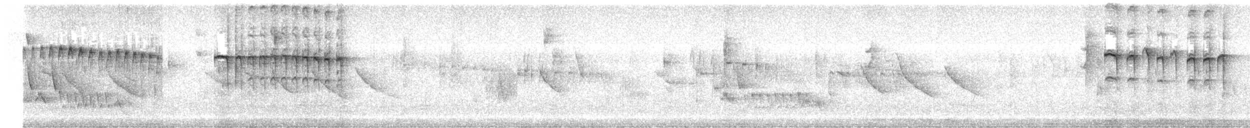 Isabellstreifen-Meisenschlüpfer - ML520336391