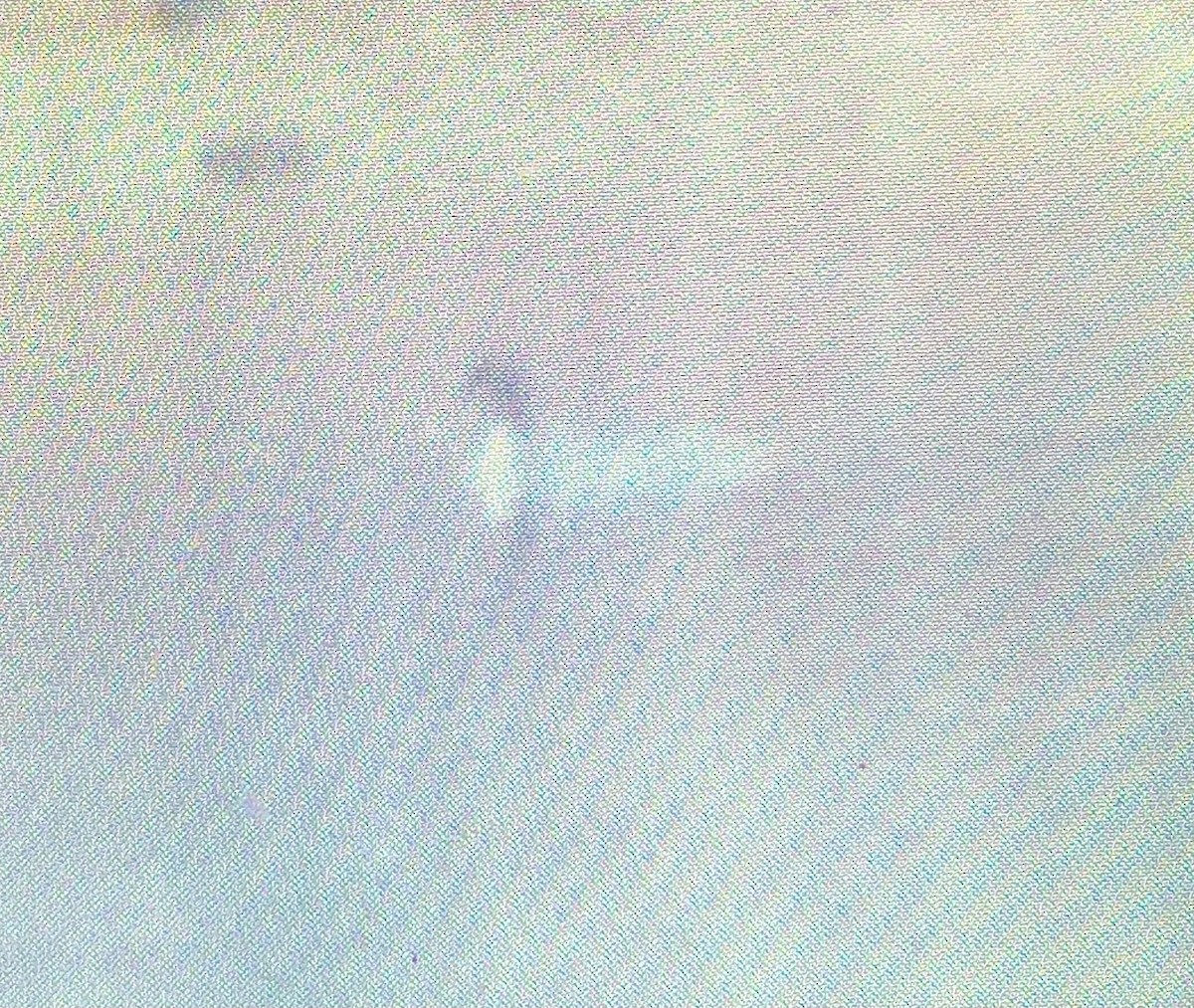 Common Merganser - ML520338581
