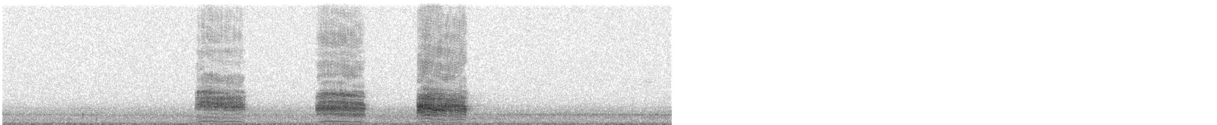 Little Egret - ML520341041
