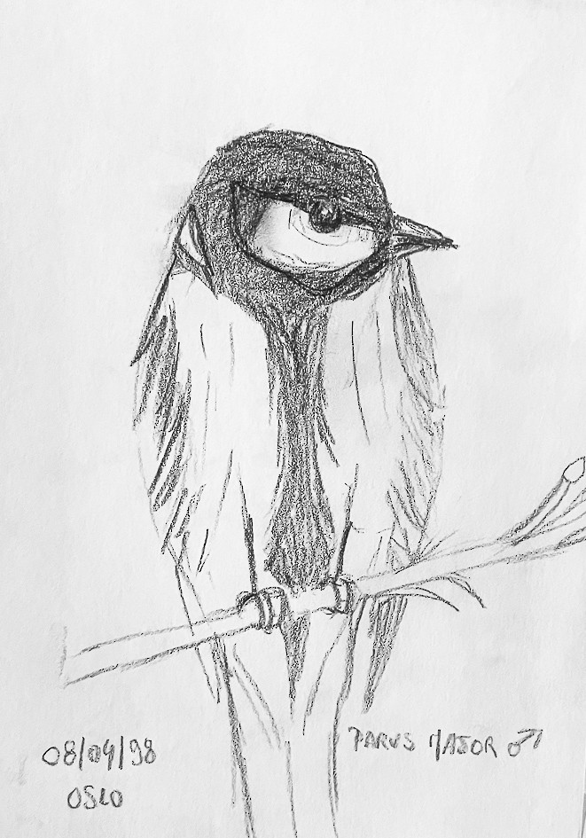 Great Tit (Great) - ML520342651
