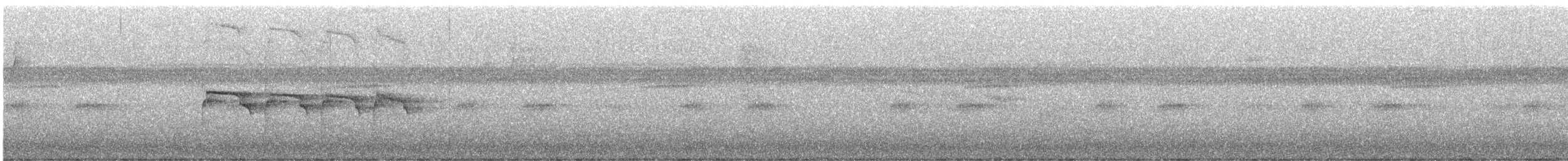 Kuzeyli Bıyıksız Tiranulet - ML520350571