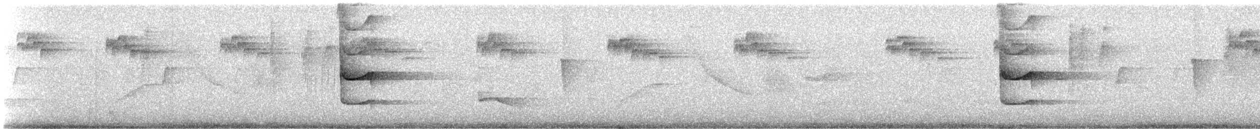 Boz Kuşaklı Yerçavuşu - ML520350691