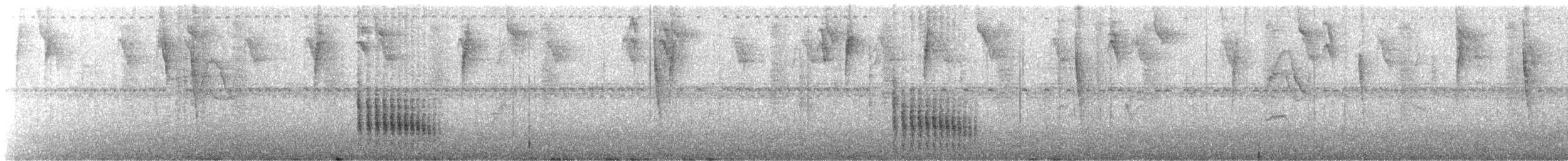 Slaty Spinetail - ML520359191