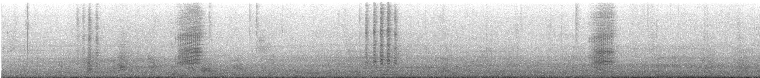 Mönchssittich [monachus-Gruppe] - ML520374371