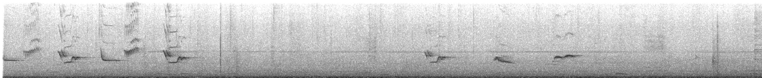 Merle austral (magellanicus/pembertoni) - ML520376171