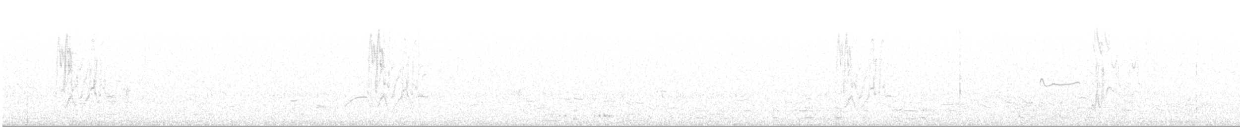 drozd stěhovavý - ML52038271