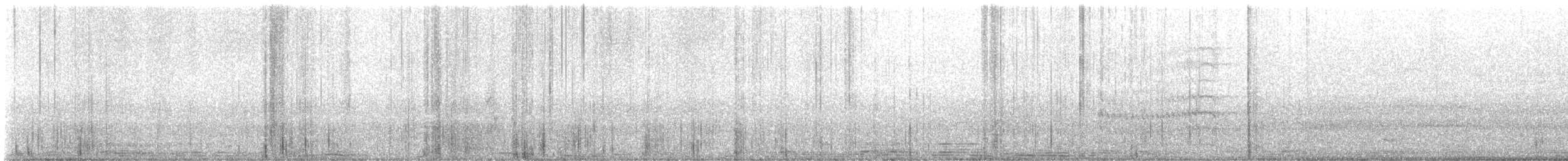 Pabuç Gagalı Tiran - ML520411121