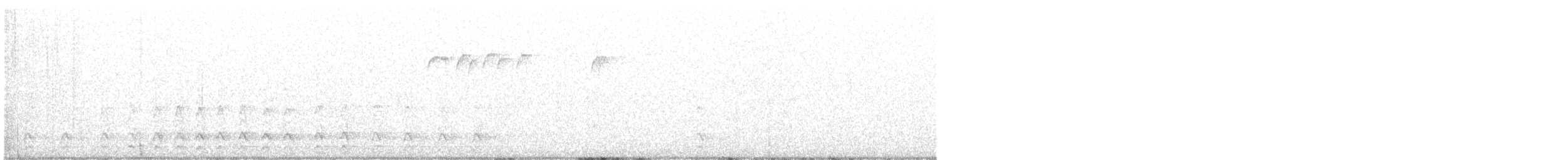 hvitbrynsvartspett - ML520414661