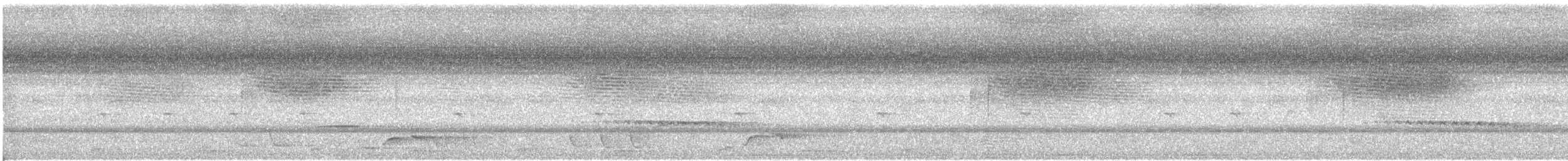 Каштановая кукушка - ML52046001