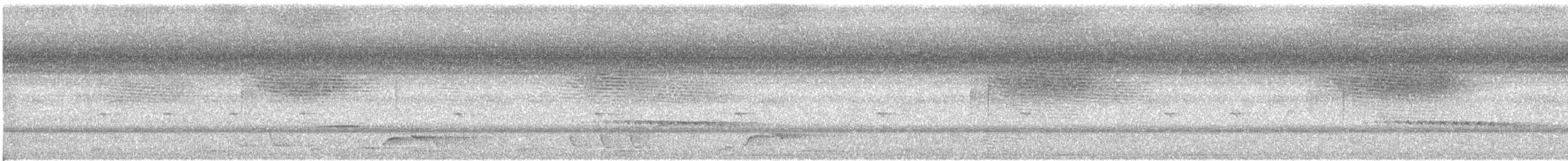 Chestnut-breasted Cuckoo - ML52046001