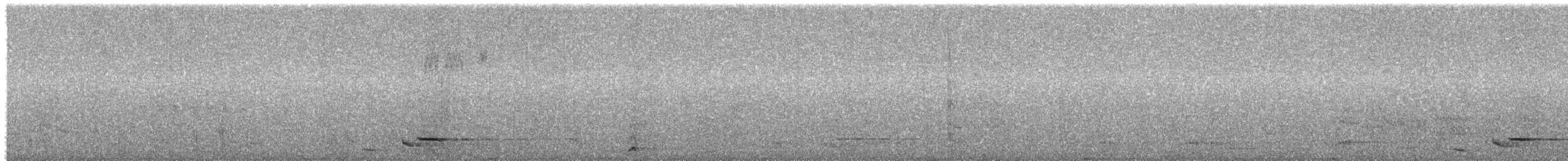 Black-hooded Oriole - ML52047161