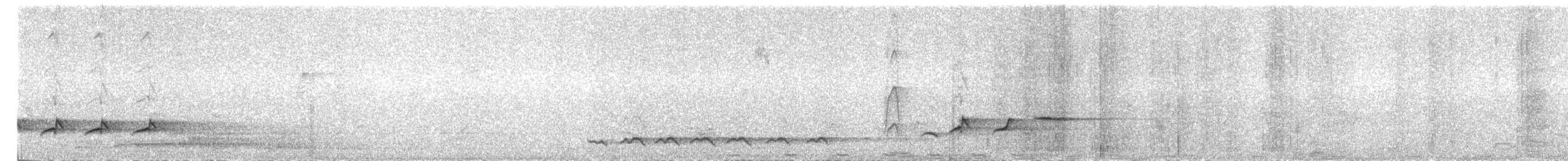 Белобрюхий дронго - ML52047541