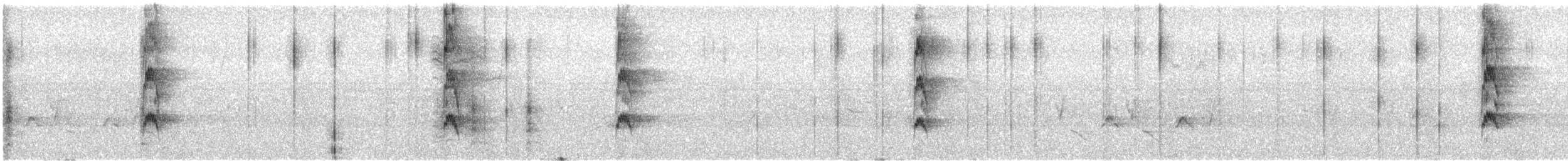 Red-cockaded Woodpecker - ML520476581