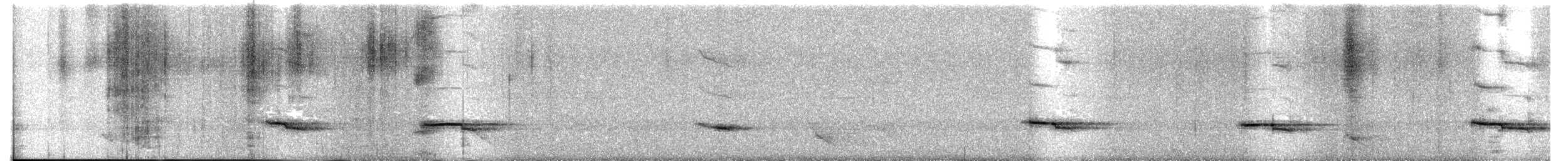 Gray-lored Broadbill - ML520534871