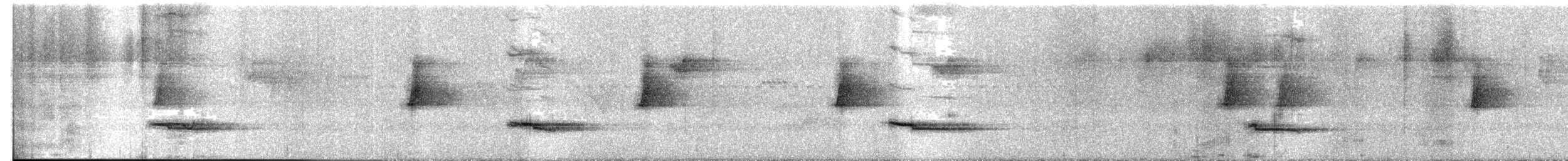 Gray-lored Broadbill - ML520534881