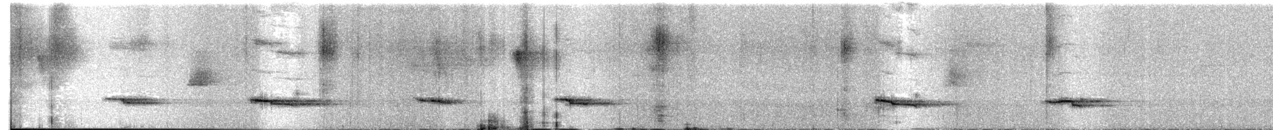 Gray-lored Broadbill - ML520534891